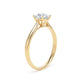 RPP04 Round Engagement Ring
