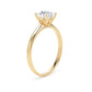 RPP06 Round Engagement Ring